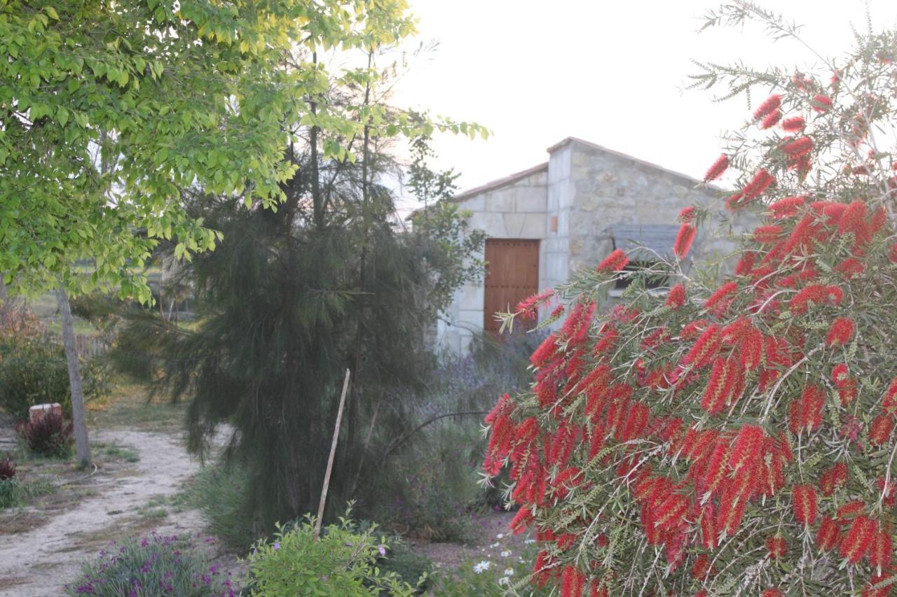 Agroturisme Es Raco De Maria Maria De La Salut Exterior photo